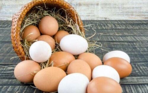 Куриные Яйца