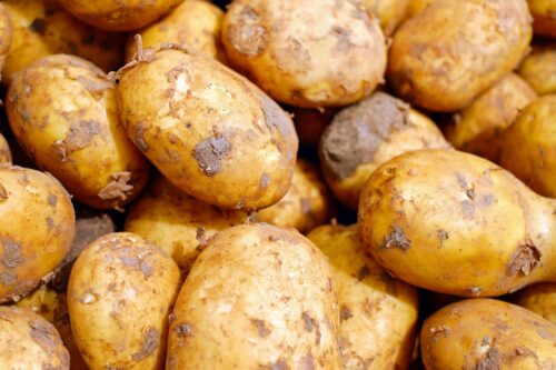 Värske kartul pesemata Solist